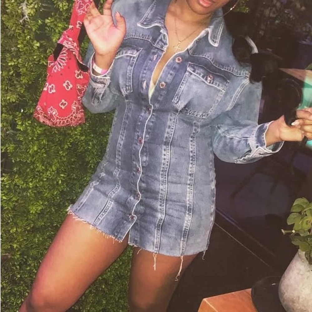 Zara Denim Button-Up Dress